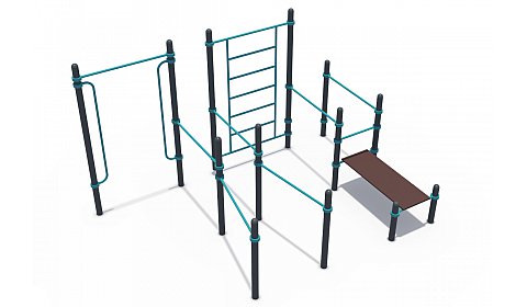 СОВ 01206 Воркаут (комплекс из шведской стенки, поручней, брусьев и скамьи для пресса для людей с ОВЗ ГТО 89 мм)